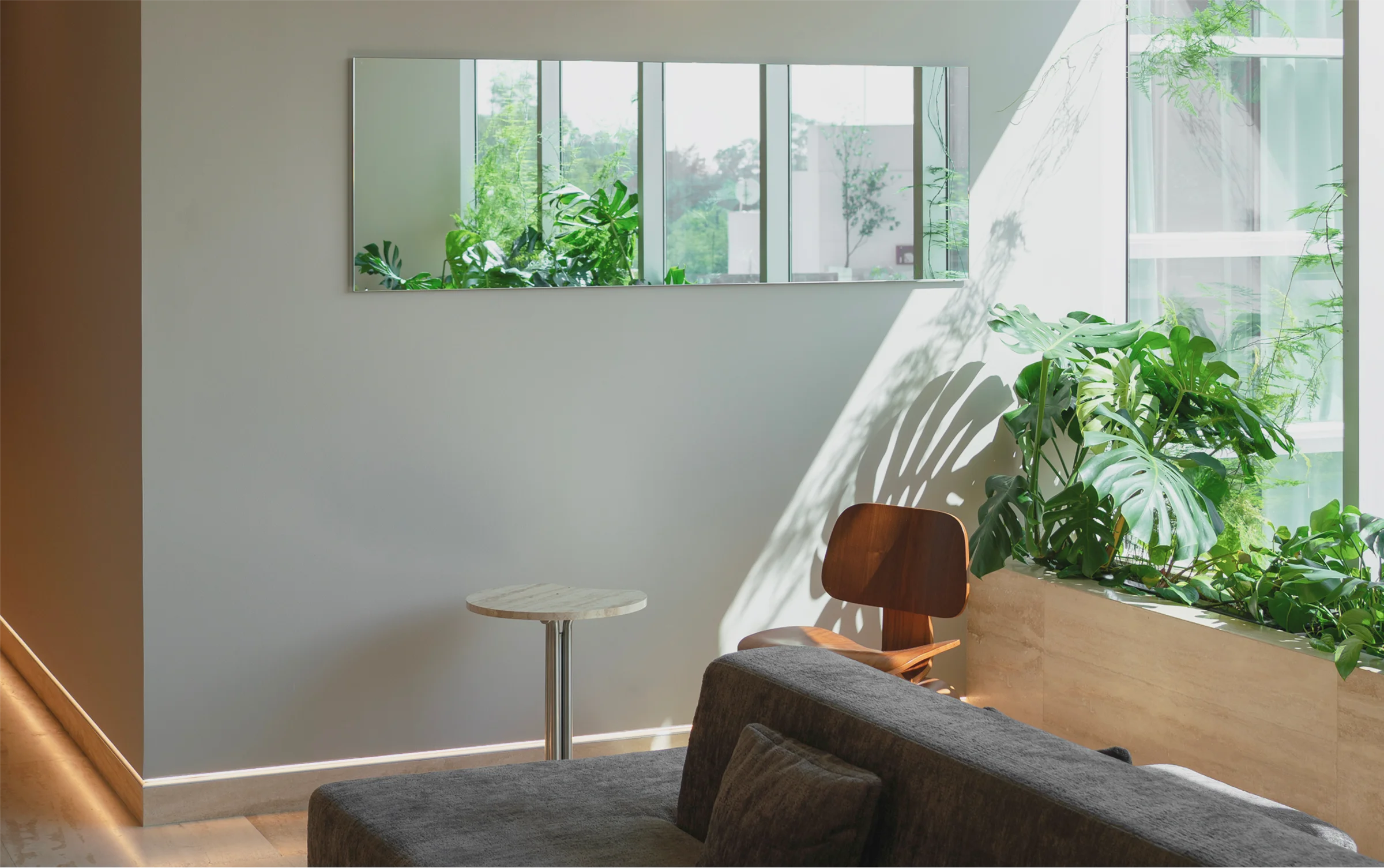 The Skin Clinic Colecciones