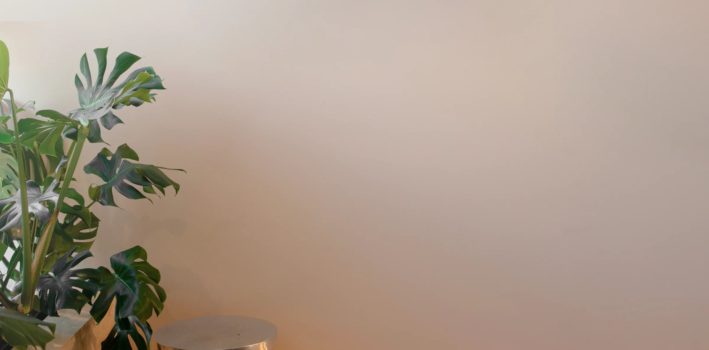 The Skin Clinic Compromiso