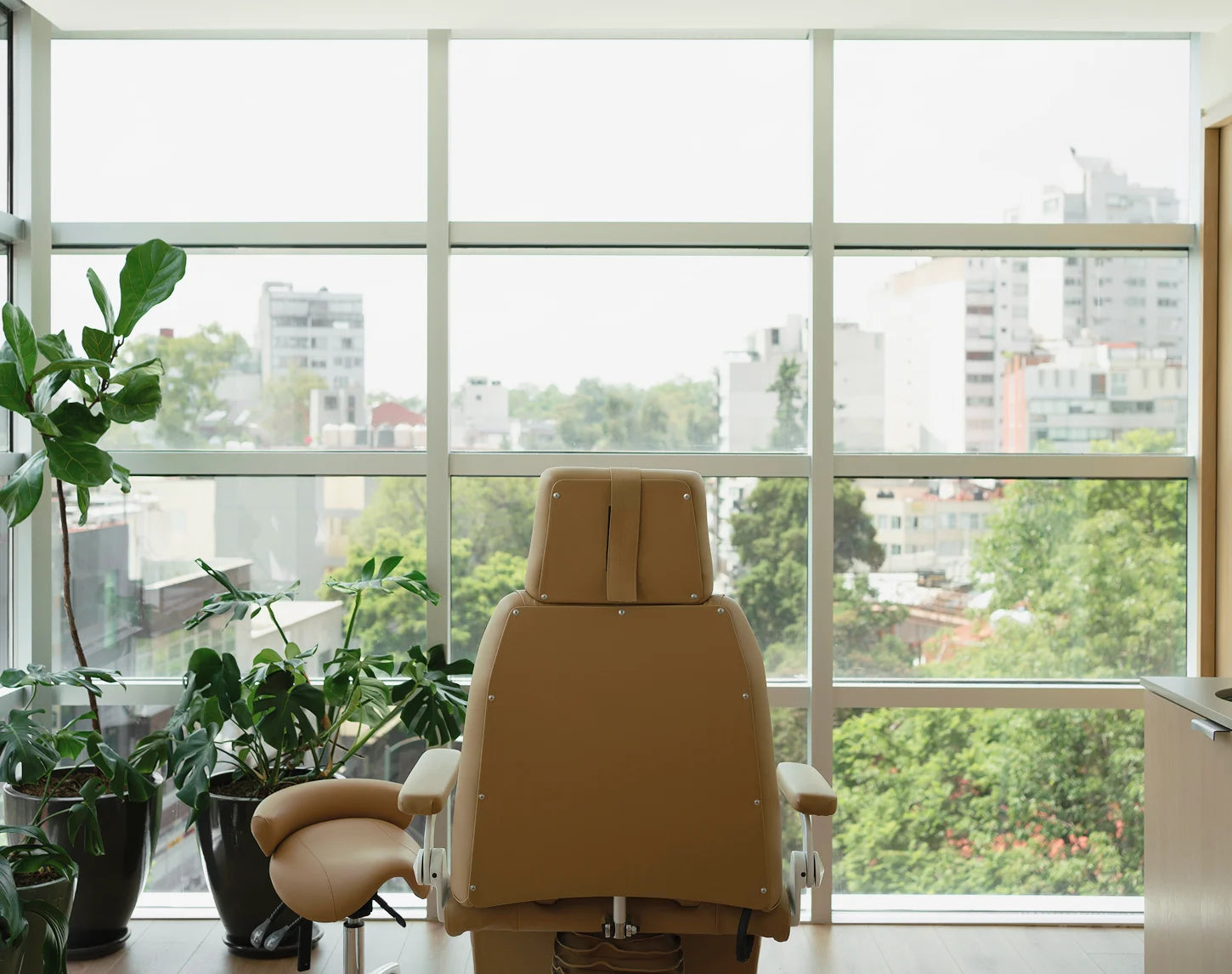 The Skin Clinic Nosotros